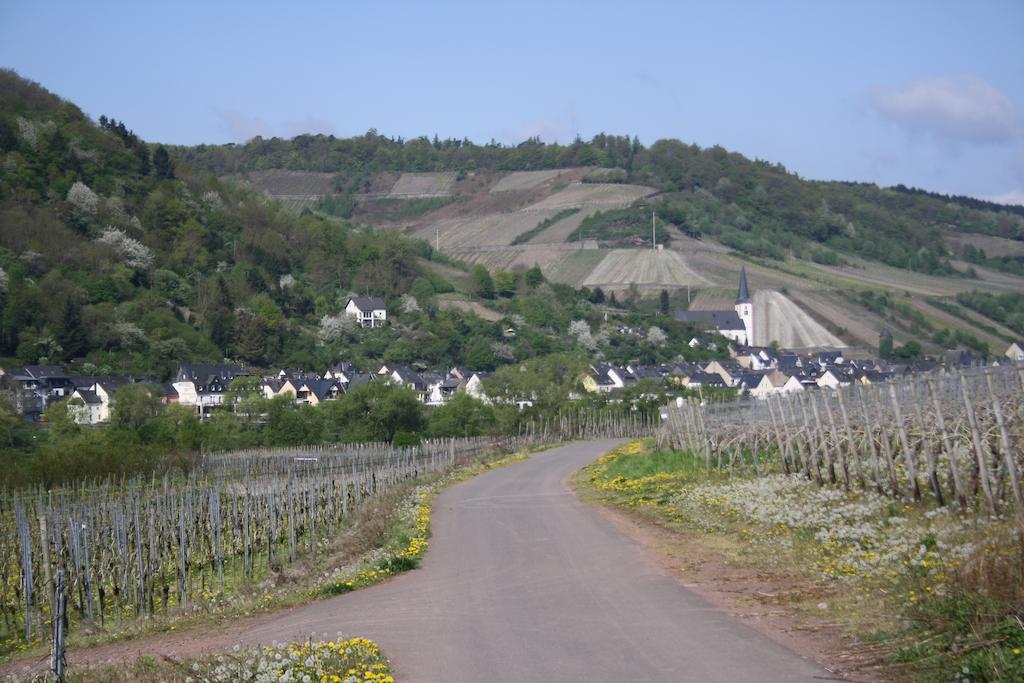 Weingut Goeres Hotel Briedel Buitenkant foto